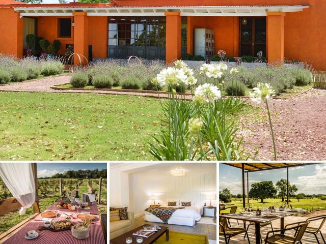 Imagenes del hotel Campo Tinto